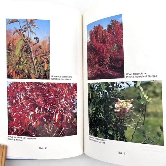 A Field Guide To Texas Trees By Benny J. Simpson Hardcover 1988 Signed by Author - Picture 14 of 16